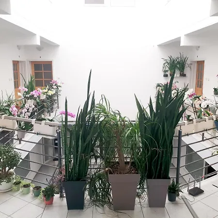 Apartment Atrijum *