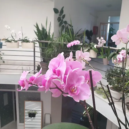 アパート Atrijum